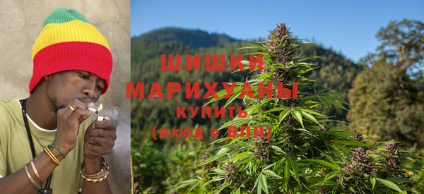 амф Алзамай